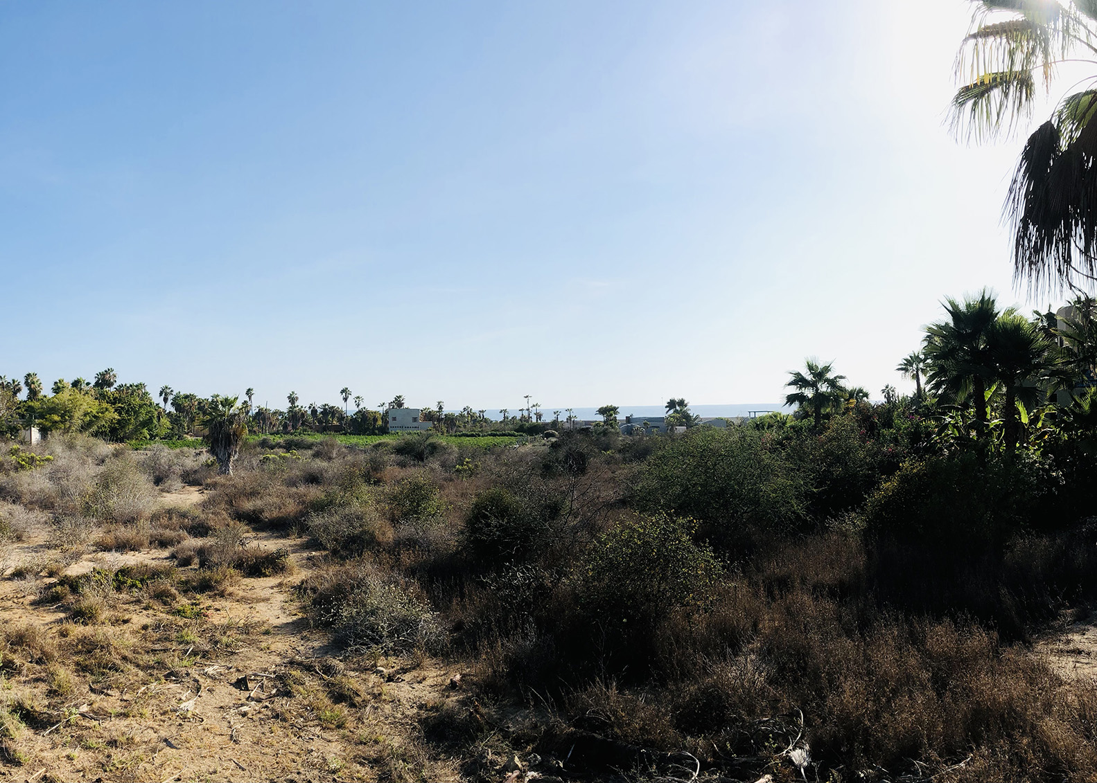 foto terreno